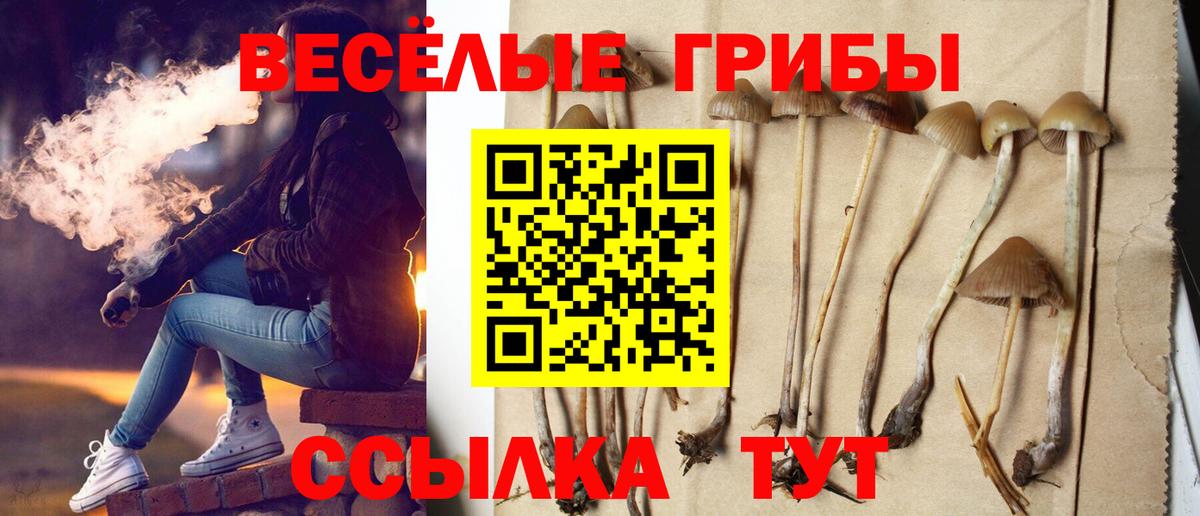 Галлюциногенные грибы мухоморы  Вход с VPN  Белгород  Псилоцибиновые грибы Cubensis 