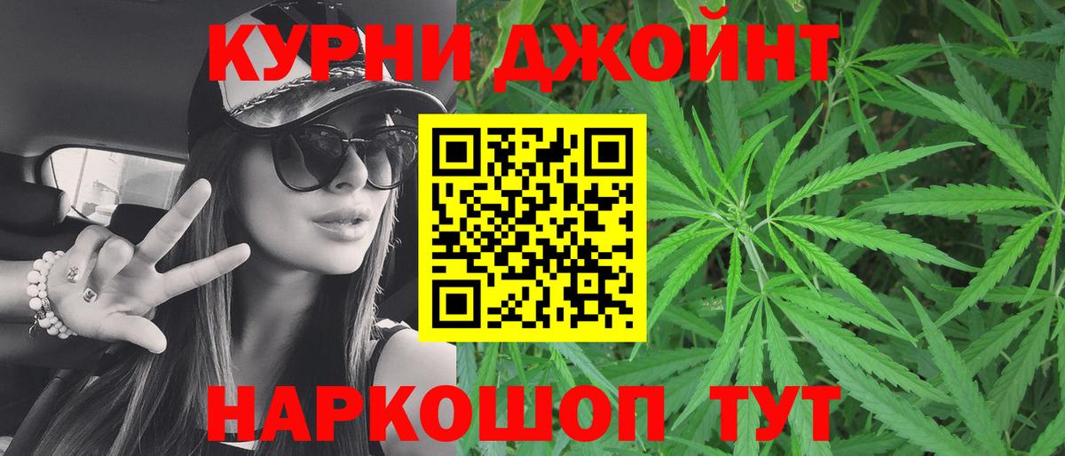 Конопля план  Канабис Bruce Banner  Вход с VPN  Канабис сатива  Белгород 